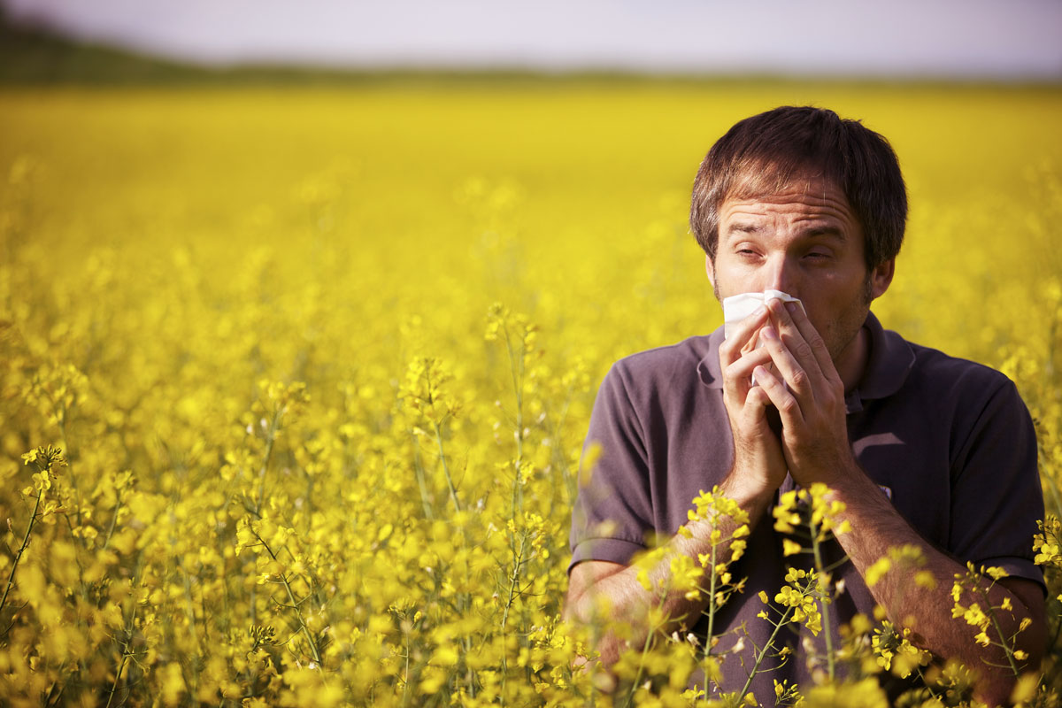allergies 10-Ways-To-Deal-With-Allergies-Salt-Scene
